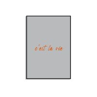 POSTER - c'est la vie