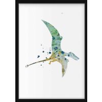 Poster - Rhamporhynchus
